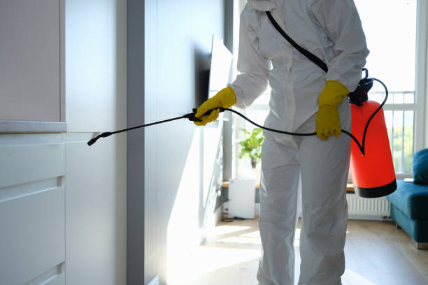 Best Asbestos and Lead Testing During Mold Inspection  in Bernardsville, NJ