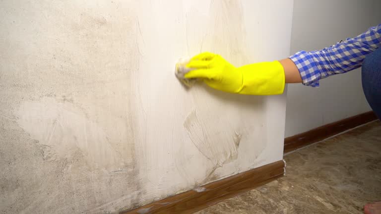 Best Residential Mold Inspection & Testing  in Bernardsville, NJ